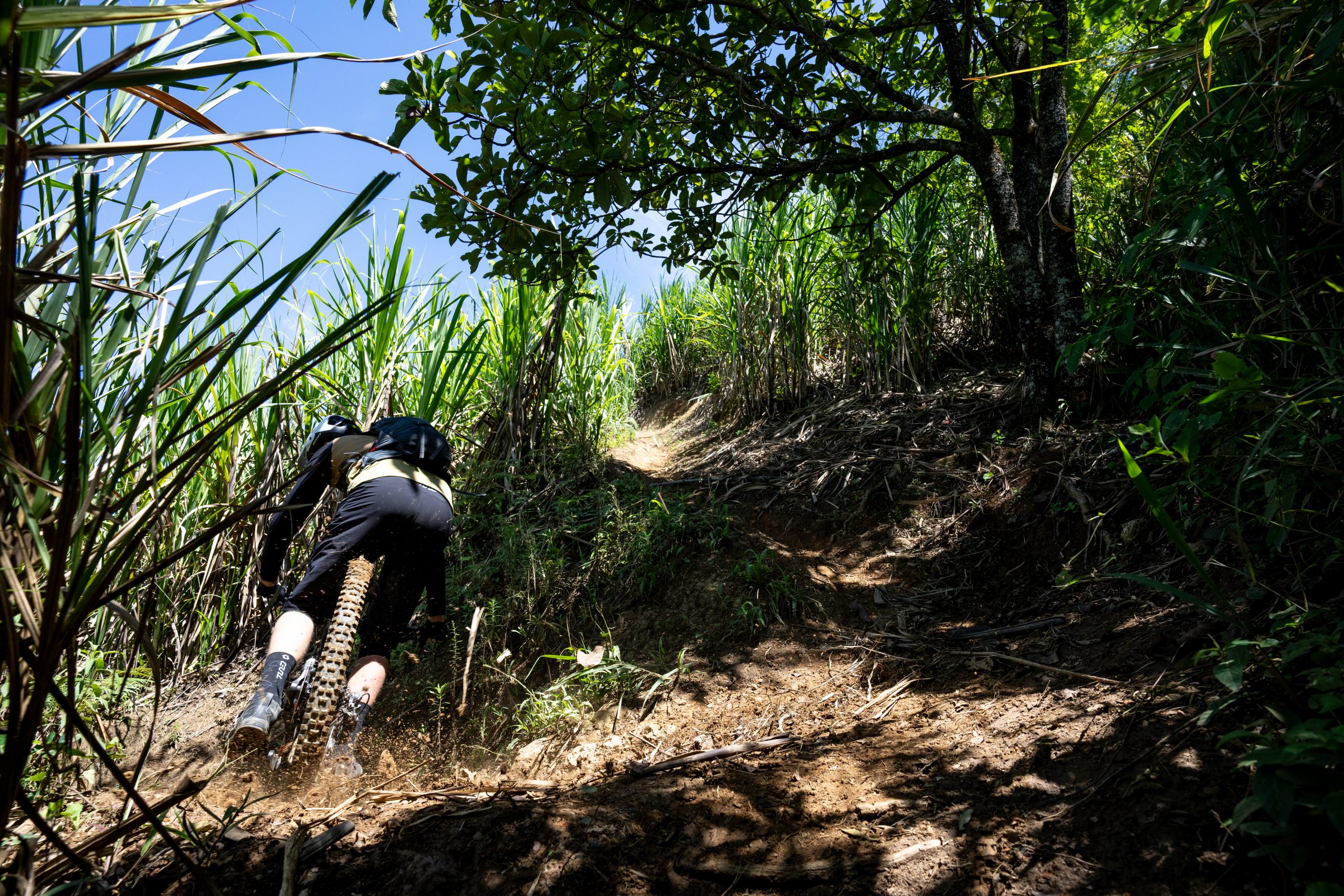 Cyclist navigating a muddy trail in Colombia's lush landscape, showcasing an adventurous Taste of Colombia experience. Mountain Bike United.