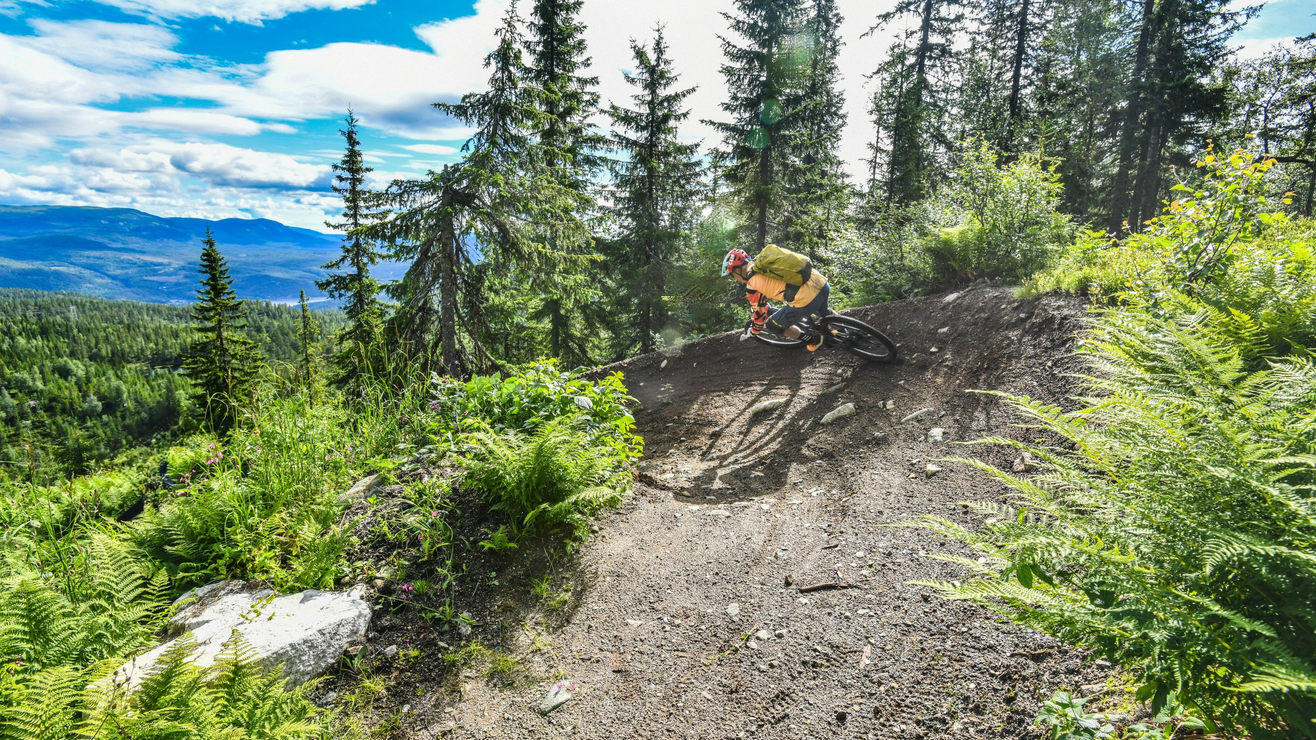 Mountain biker on forest trail, showcasing The Next Frontier of adventure sports. Featuring scenic background, relevant to Hans Rey's themes. Mountain Bike United.