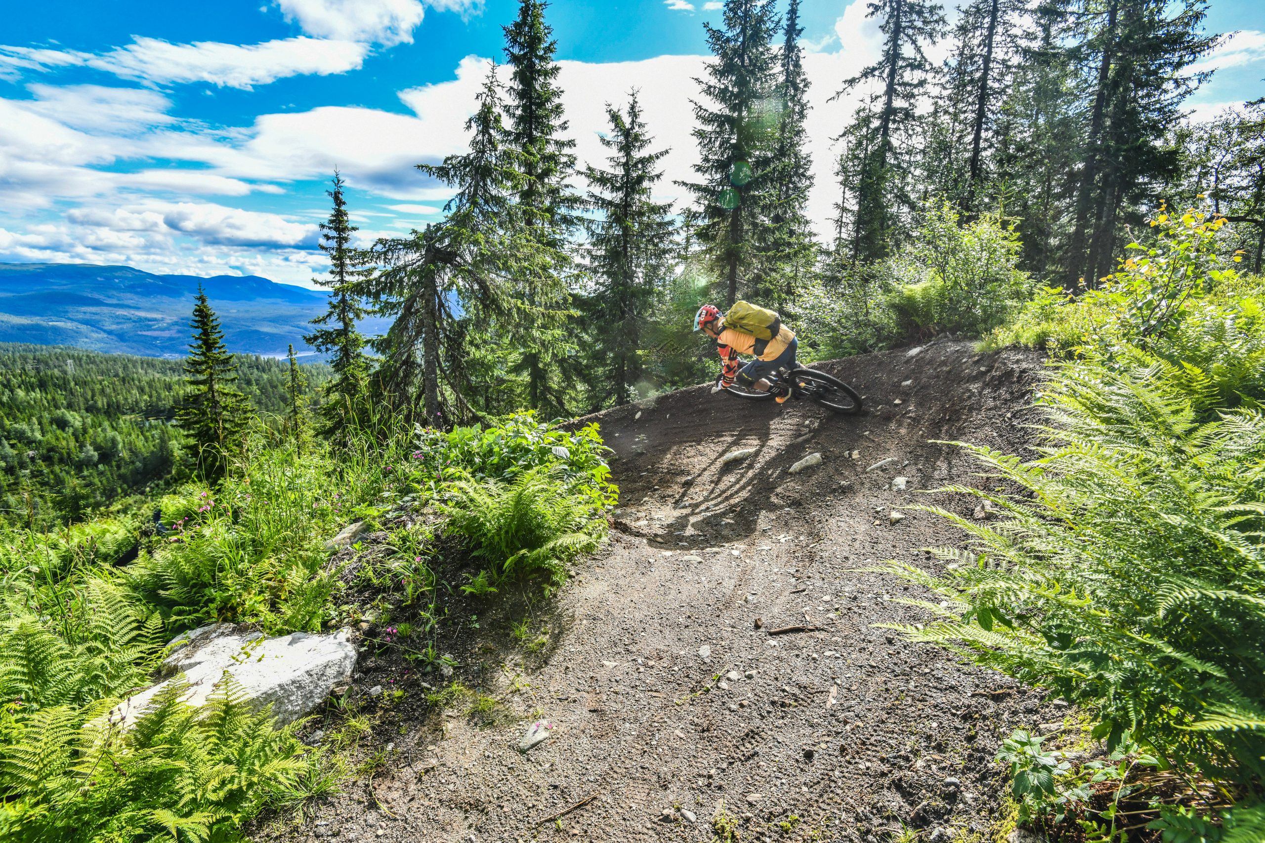 Mountain biker on forest trail, showcasing The Next Frontier of adventure sports. Featuring scenic background, relevant to Hans Rey's themes. Mountain Bike United.