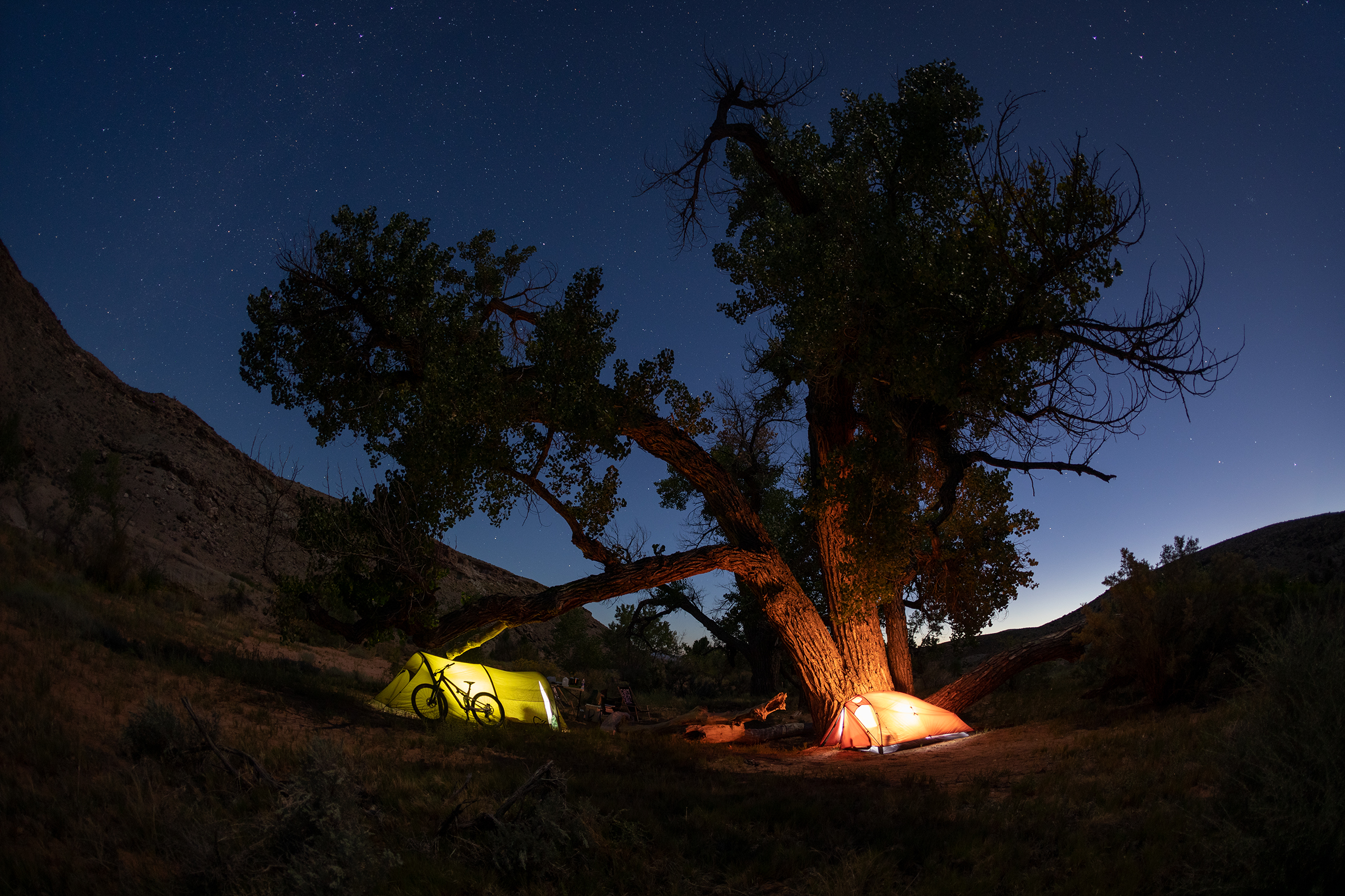 Night camping with a bike under a starry sky, featuring tents near a large tree. Ideal for cross countries adventure with Kilian Bron. Mountain Bike United.