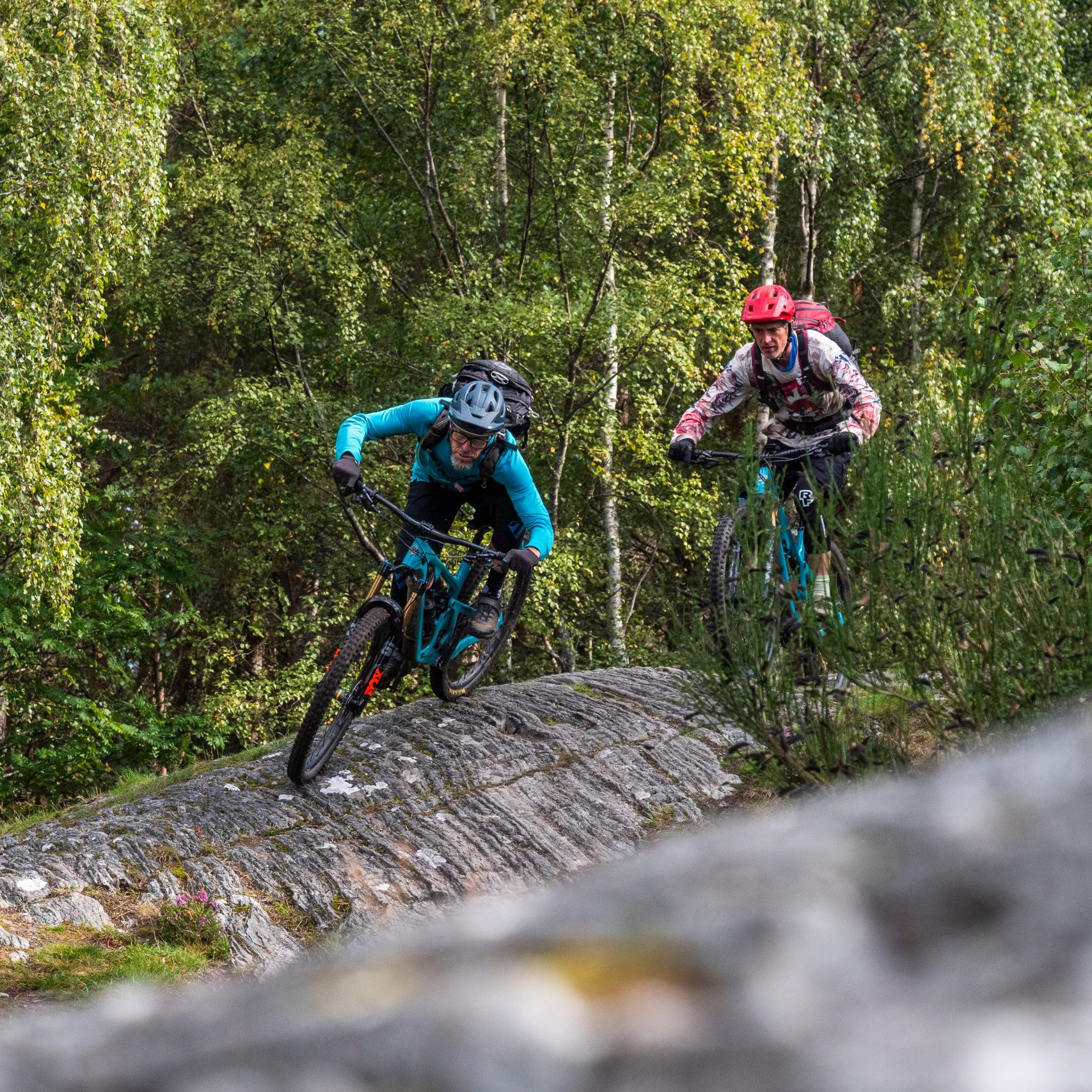 Mountain bikers riding on rocky trail through forest, wearing helmets and gear. Outdoor adventure, cycling in nature setting, green foliage background. Mountain Bike United.