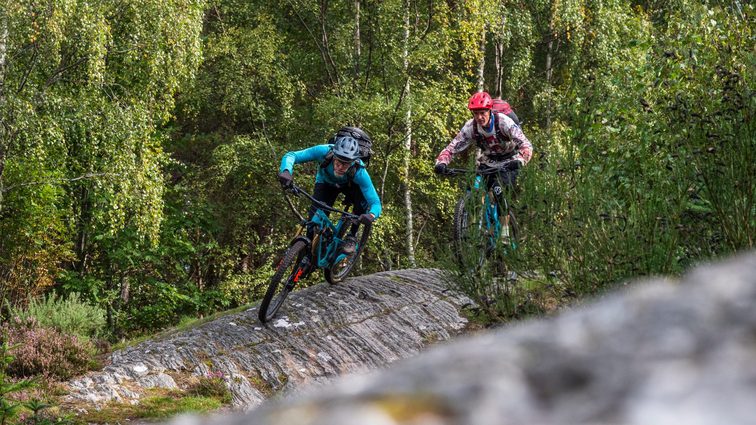 Mountain bikers riding on rocky trail through forest, wearing helmets and gear. Outdoor adventure, cycling in nature setting, green foliage background. Mountain Bike United.