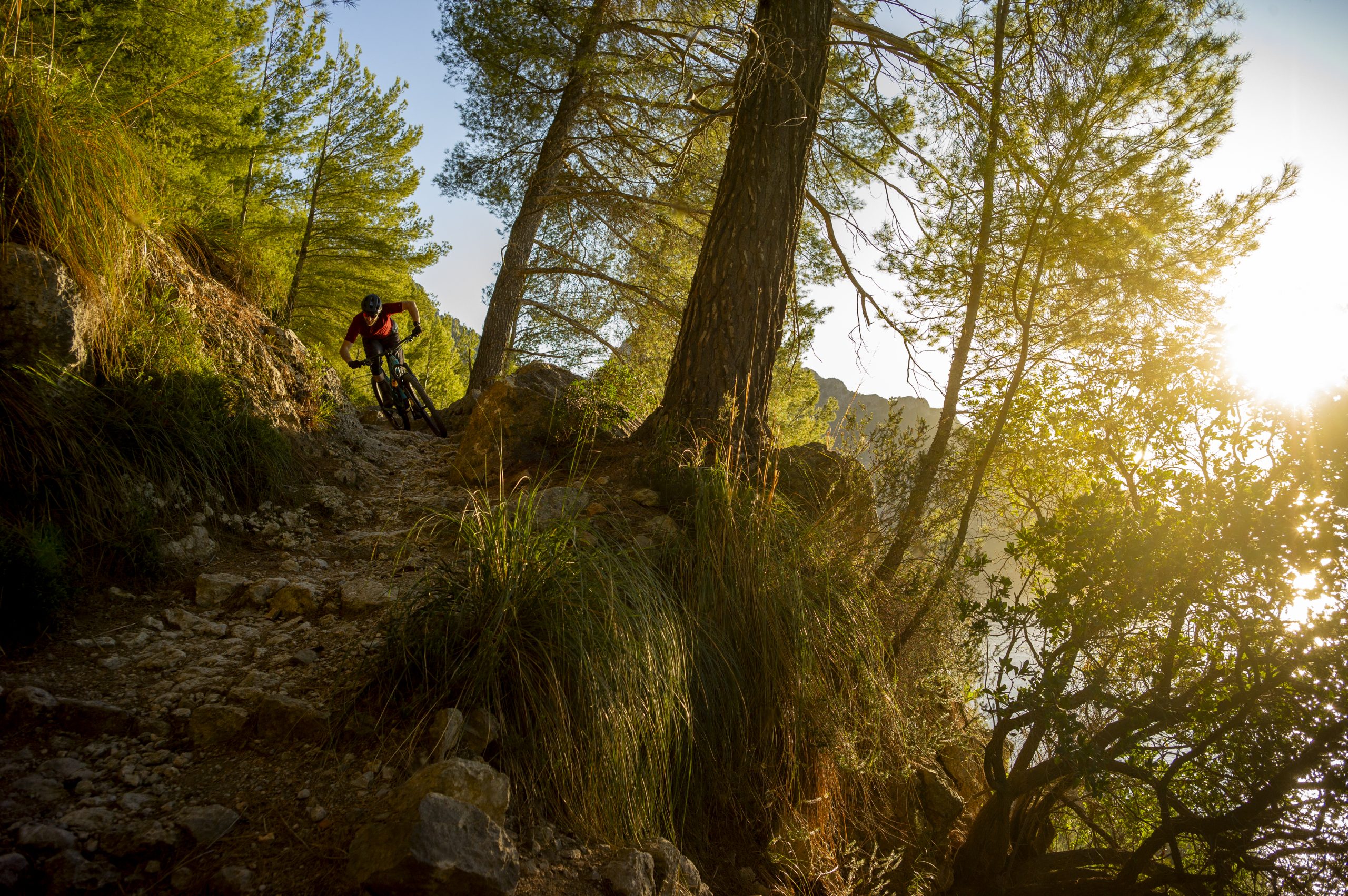 Mountain biker navigating rocky trail through forest, sunlight filtering through trees, outdoor adventure, downhill mountain biking, nature scenery. Mountain Bike United.