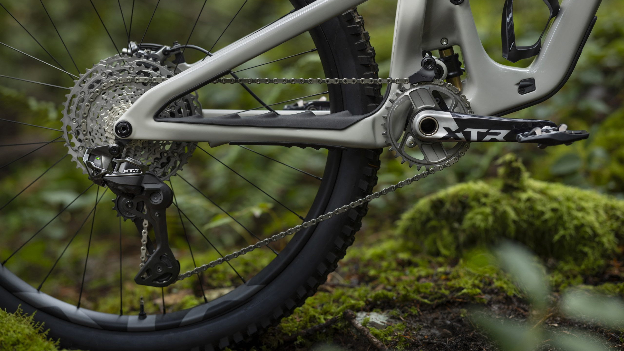 Mountain bike rear gear set with XTR drivetrain on forest trail, featuring durable chain and textured tire for enhanced off-road cycling performance. Mountain Bike United.