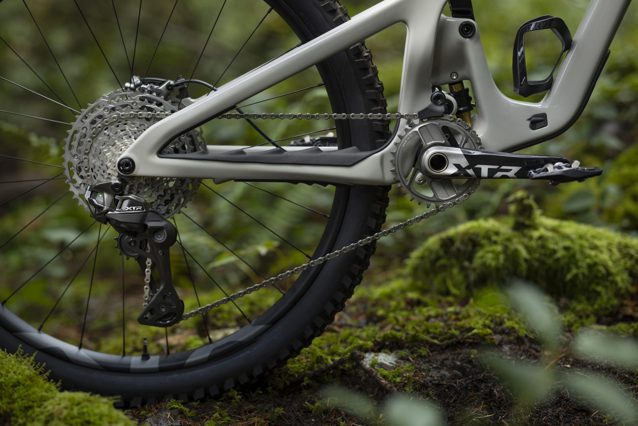 Mountain bike rear gear set with XTR drivetrain on forest trail, featuring durable chain and textured tire for enhanced off-road cycling performance. Mountain Bike United.