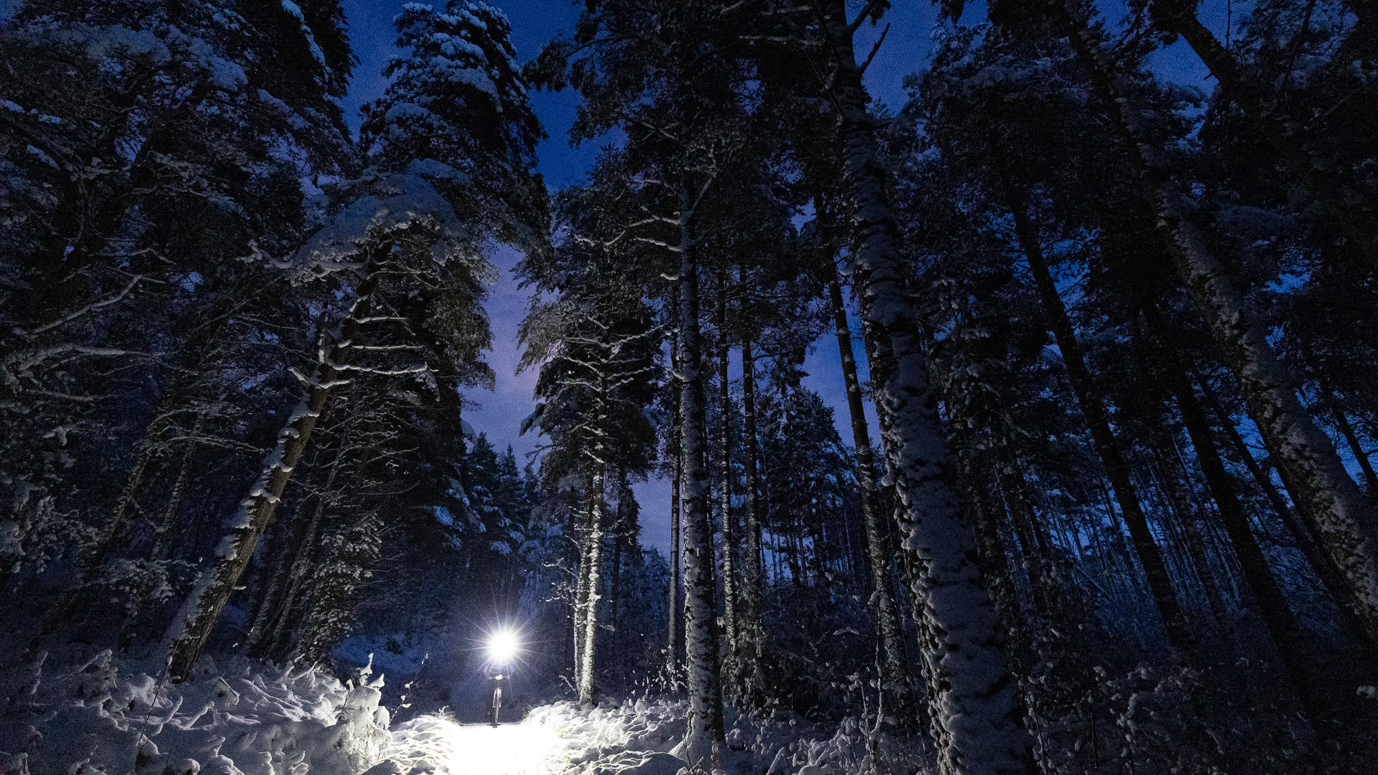 Nighttime cyclist on a snowy forest path under tall trees, spotlighting the trail. Keywords: Aidan Webster, forest night ride, winter cycling. Mountain Bike United.