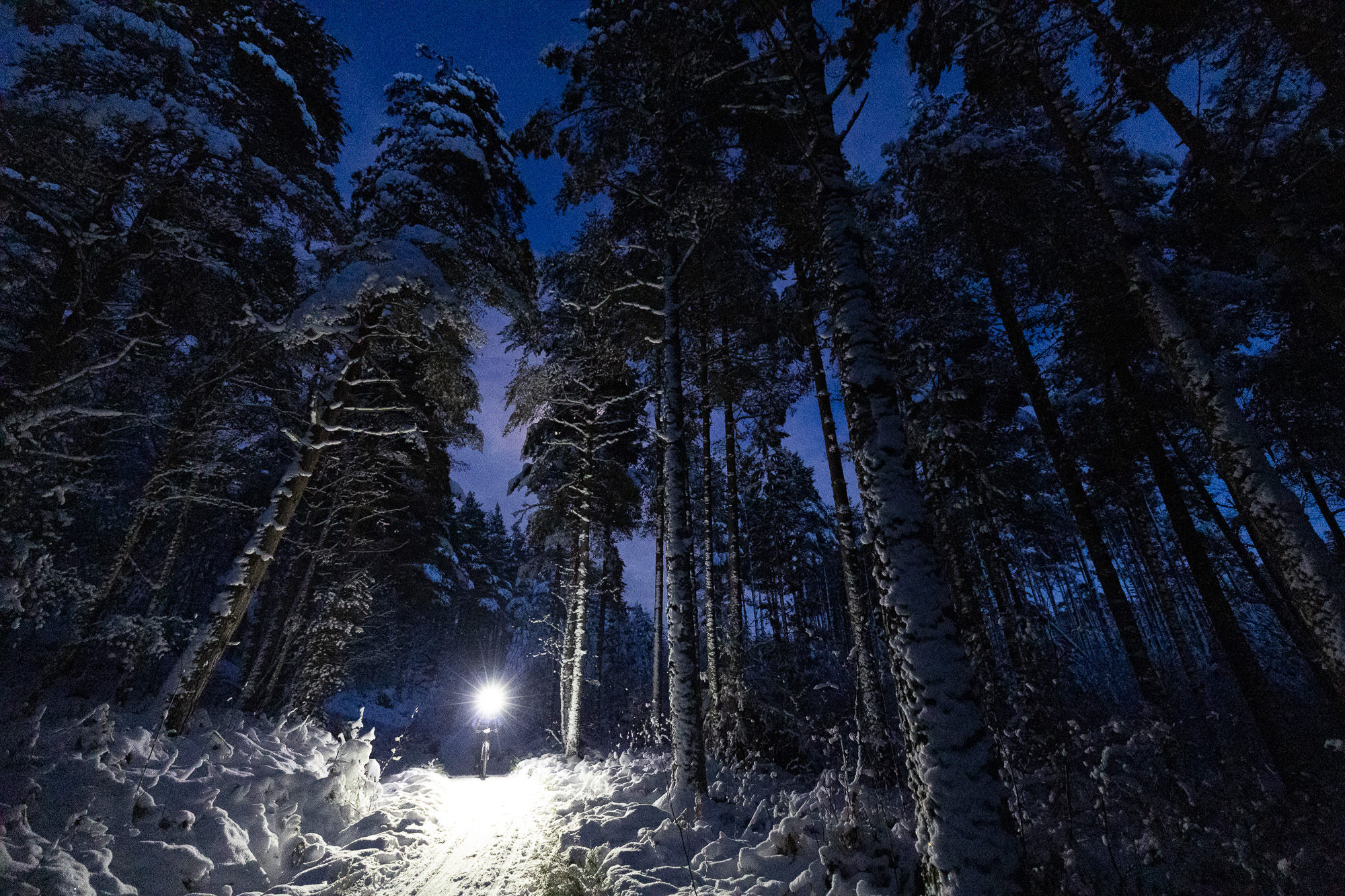 Nighttime cyclist on a snowy forest path under tall trees, spotlighting the trail. Keywords: Aidan Webster, forest night ride, winter cycling. Mountain Bike United.