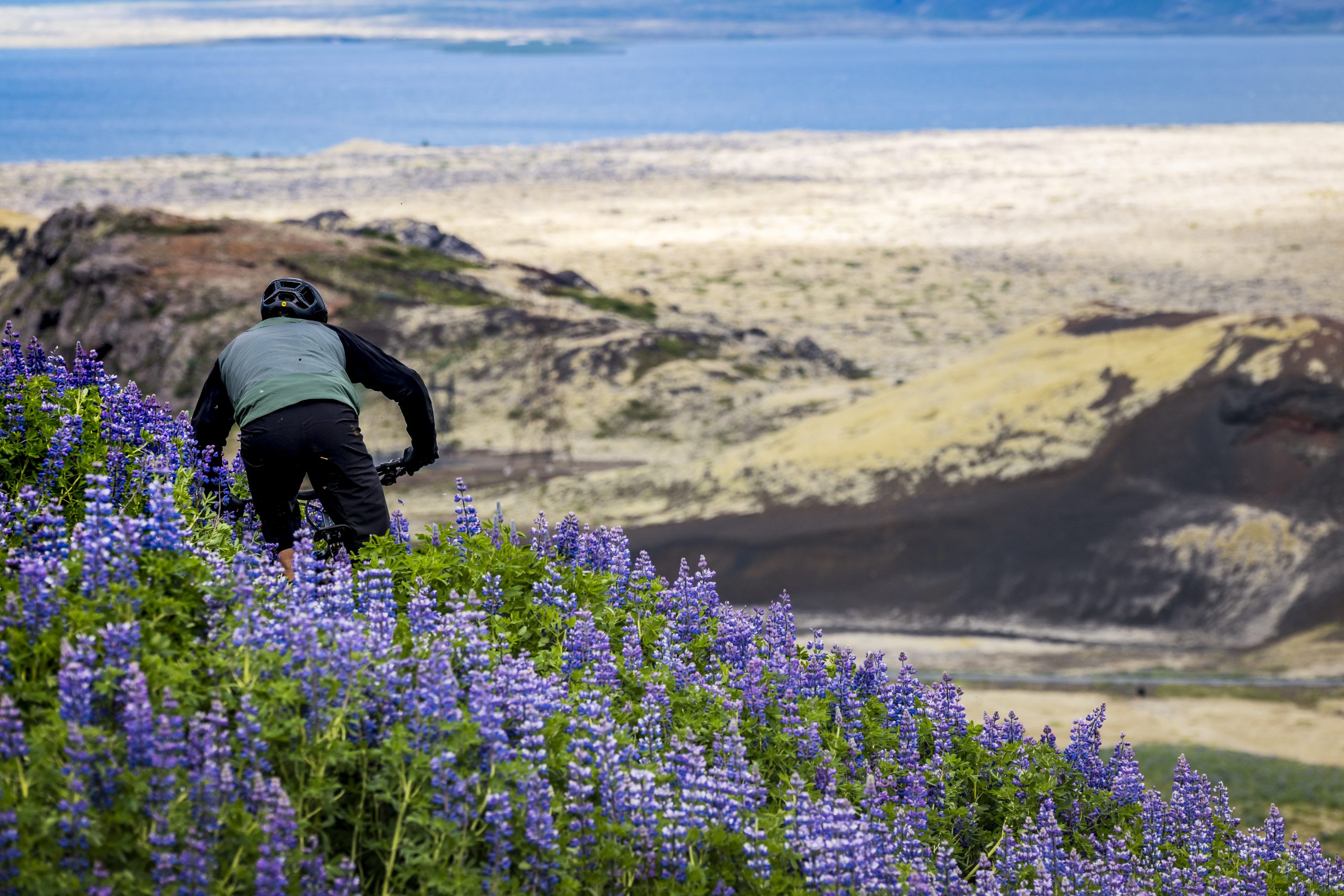 Biker descends a scenic hill covered in purple flowers, part of Andrew Neethling's Journey to The Centre of The Earth adventure. Mountain Bike United.
