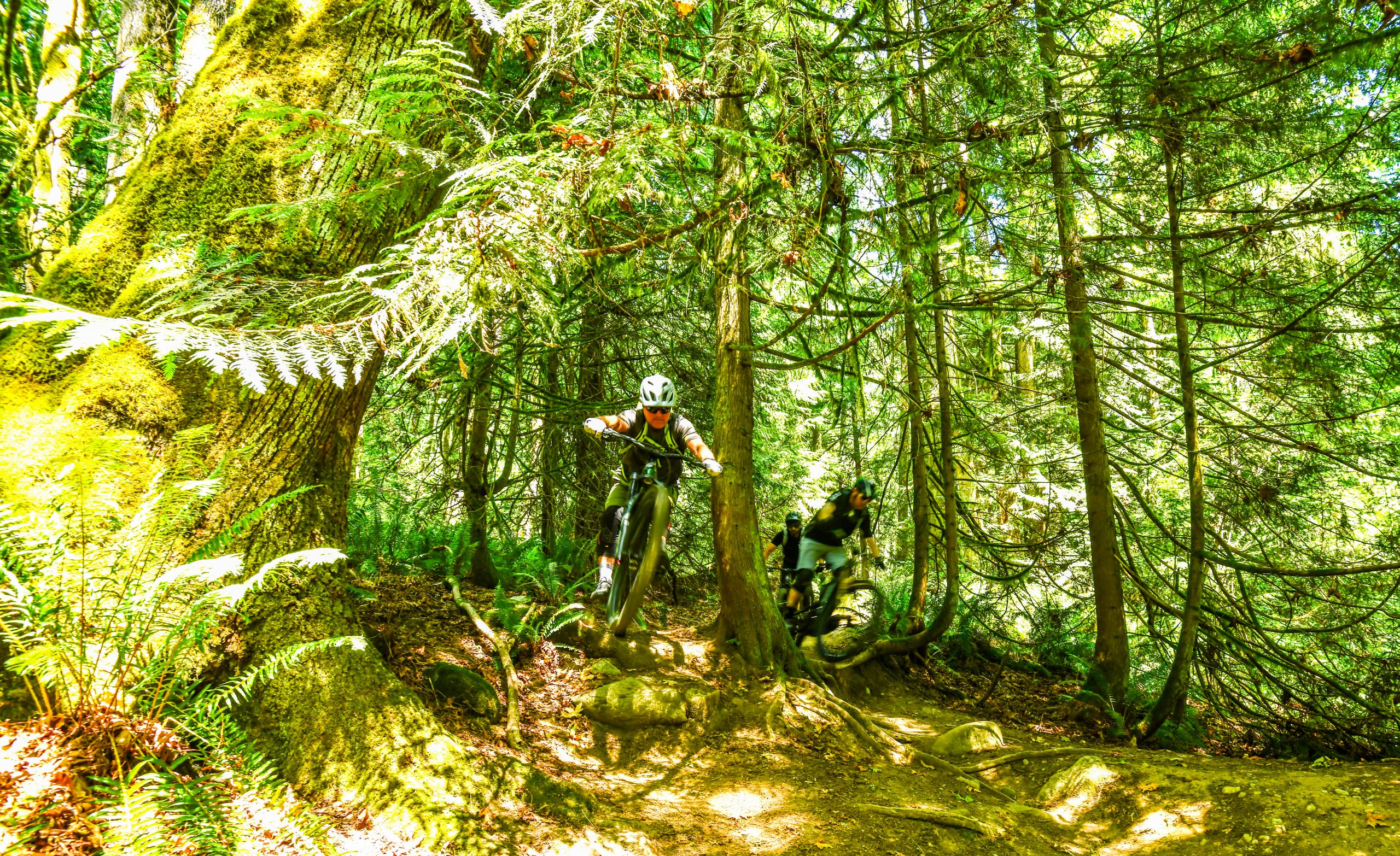Mountain biker jumps over a trail in a forest. Ideal for outdoor enthusiasts and Hans Rey fans seeking thrilling biking experiences. Mountain Bike United.