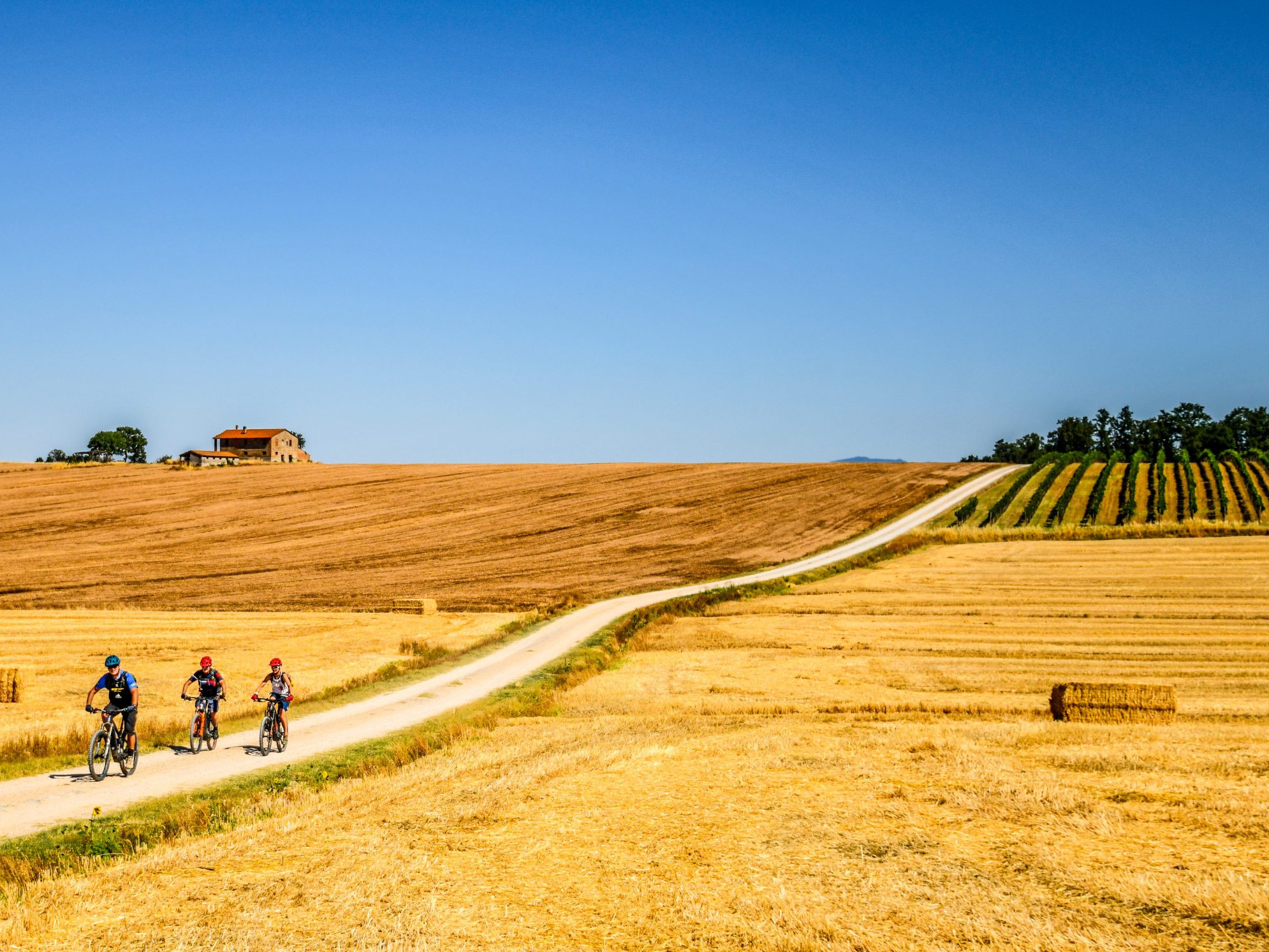 Cyclists ride on a dirt path in Umbria's countryside, part of the 