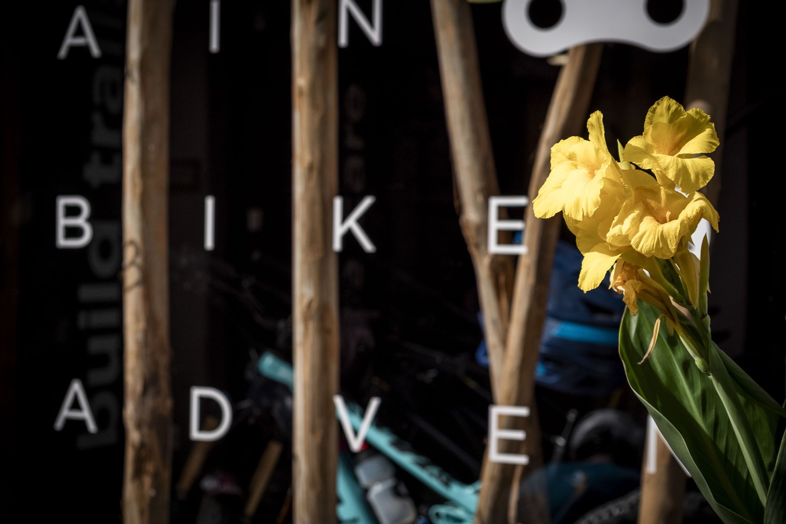Yellow flowers with blurred wooden beams and letters spelling 