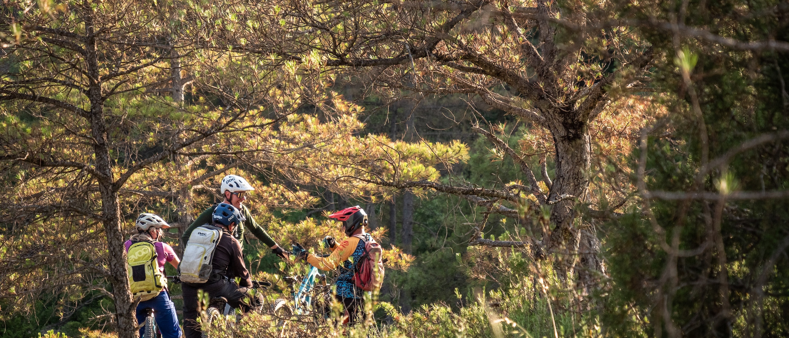 Group of mountain bikers on a forest trail, exploring paths. Find mountain bike trails for adventure and outdoor cycling activities. Mountain Bike United app. Find mountain bike trails. Plan and share rides. Discover and join events and races. Record your rides directly in app. Strava mountain bike.