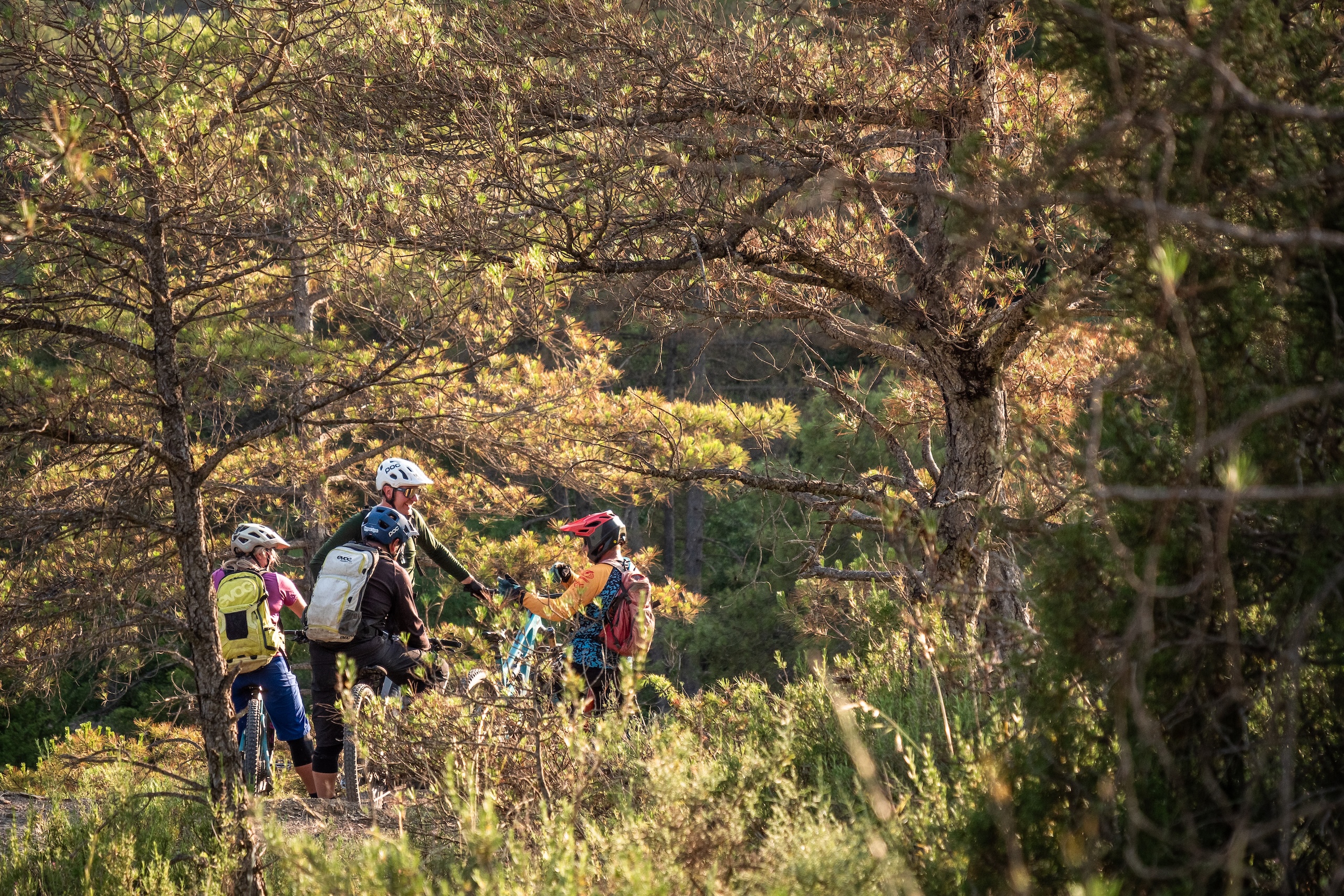 Group of mountain bikers on a forest trail, exploring paths. Find mountain bike trails for adventure and outdoor cycling activities. Mountain Bike United app. Find mountain bike trails. Plan and share rides. Discover and join events and races. Record your rides directly in app. Strava mountain bike.